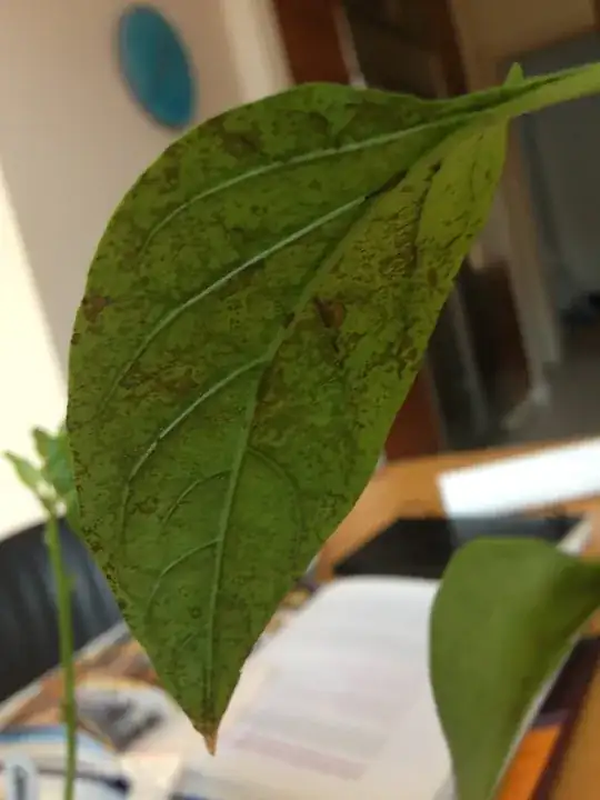 Rust?