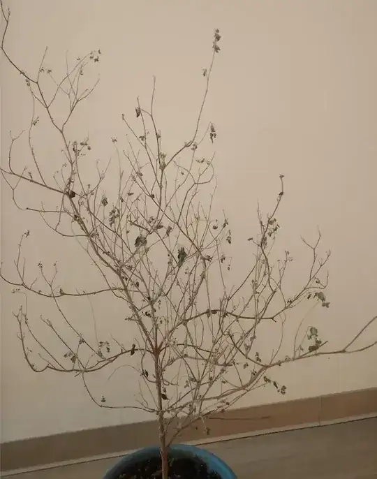 Tulsi with leaf loss