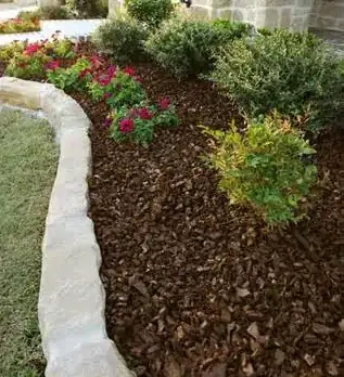 wood mulch around plants