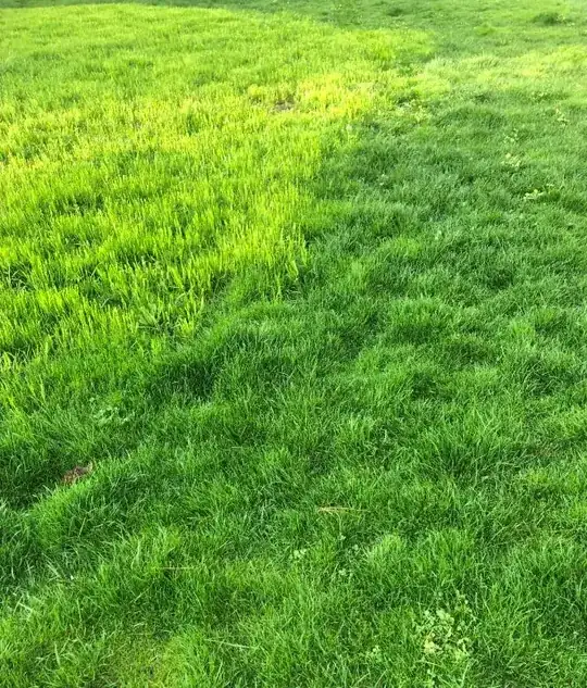 New grass on the left
