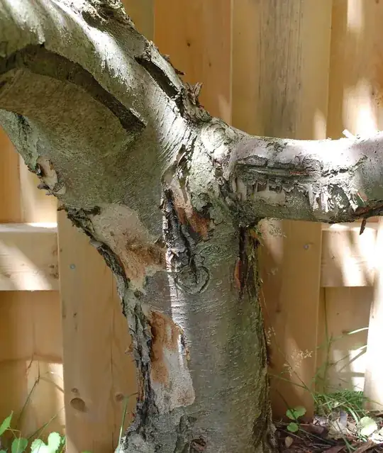 Stock with black bark