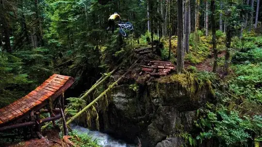 The woodlandscape here as well