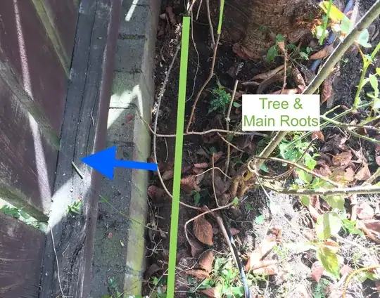 Problem root