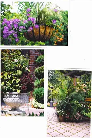Pots for clients