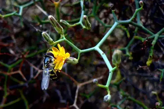 bud and wasp
