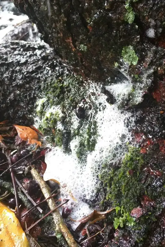 Closeup of foam