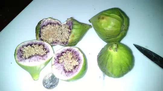 figs cut open