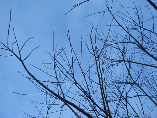 winter