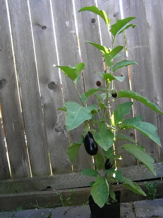 egg plant of mine