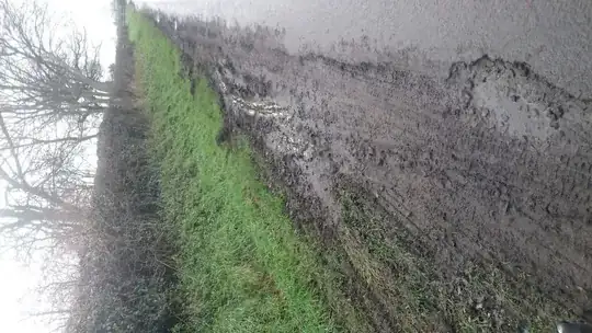 chewed up grass verge 