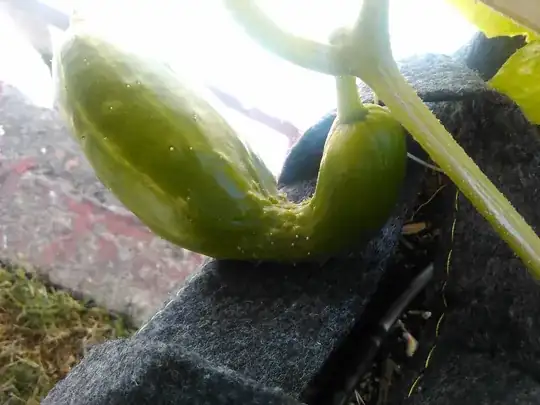 deformed fruit