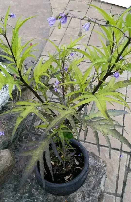 Global plant