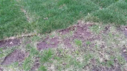 odd sod job 1