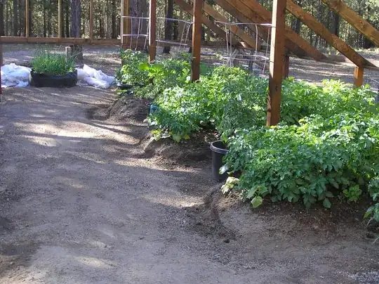 raised beds for new greenhouse