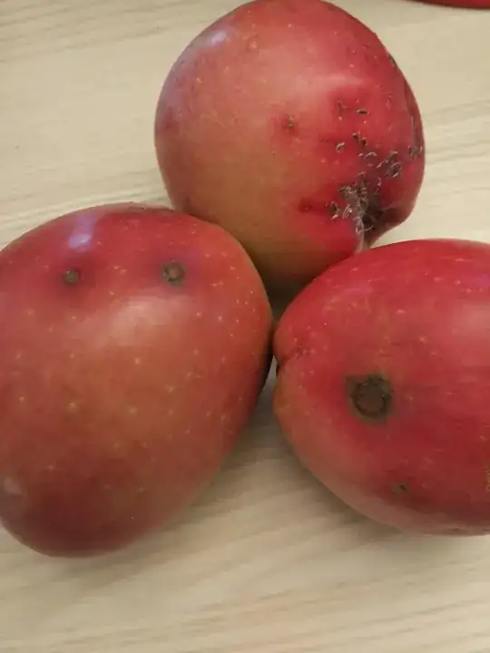 Bad apples