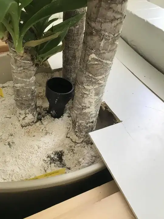 potted view