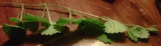 viney weed