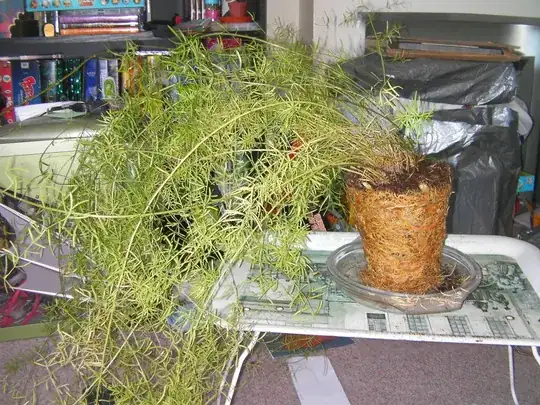 Full plant Shot