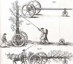 tree mover