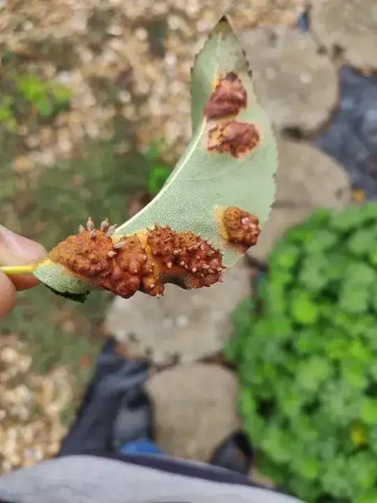 https://img-9gag-fun.9cache.com/photo/aq7qmvZ_700b.jpg