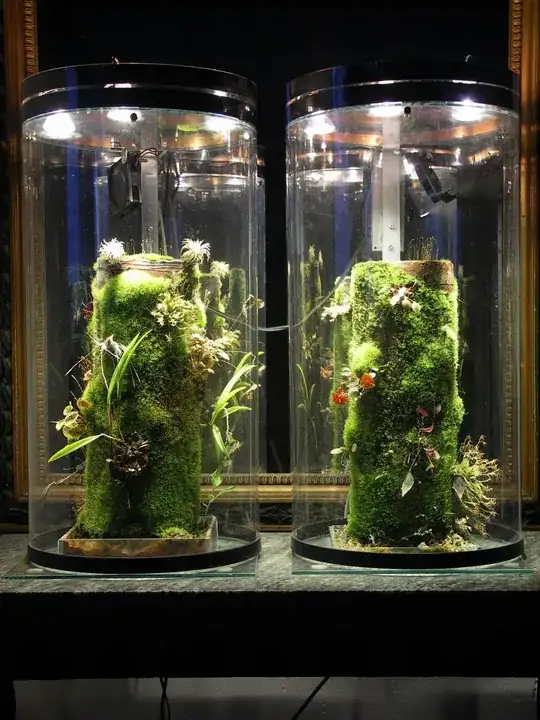 Nano-Vivarium