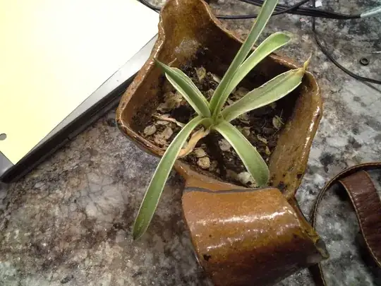 plant4