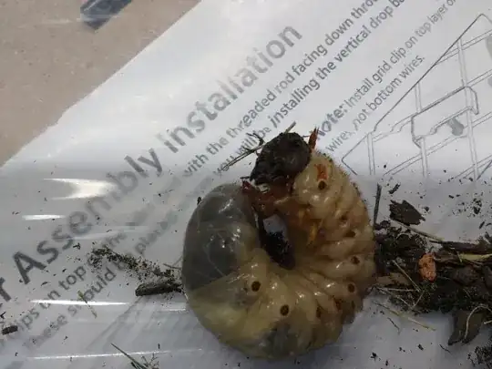 Grub3