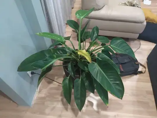 recently arrived at home