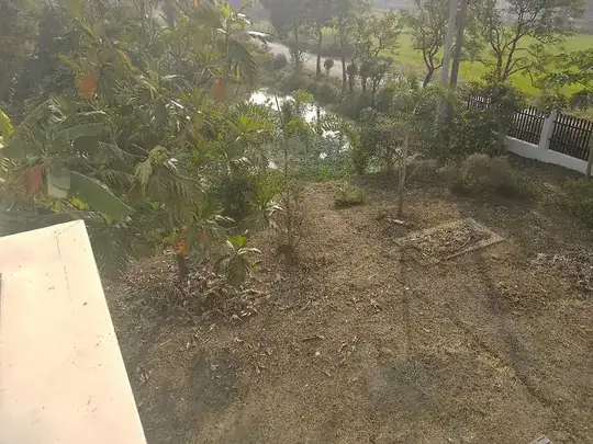 View from the second floor