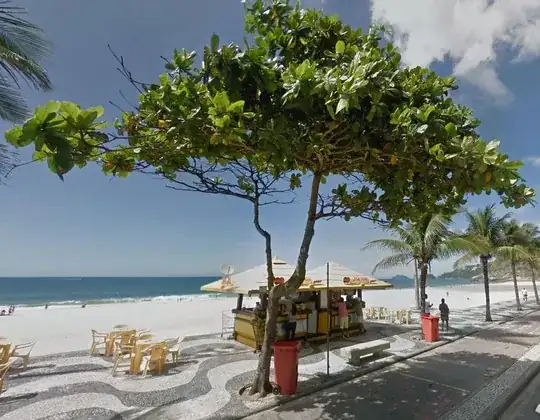 Rio tree 1