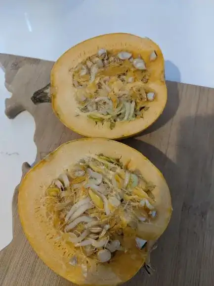 Original source of seeds