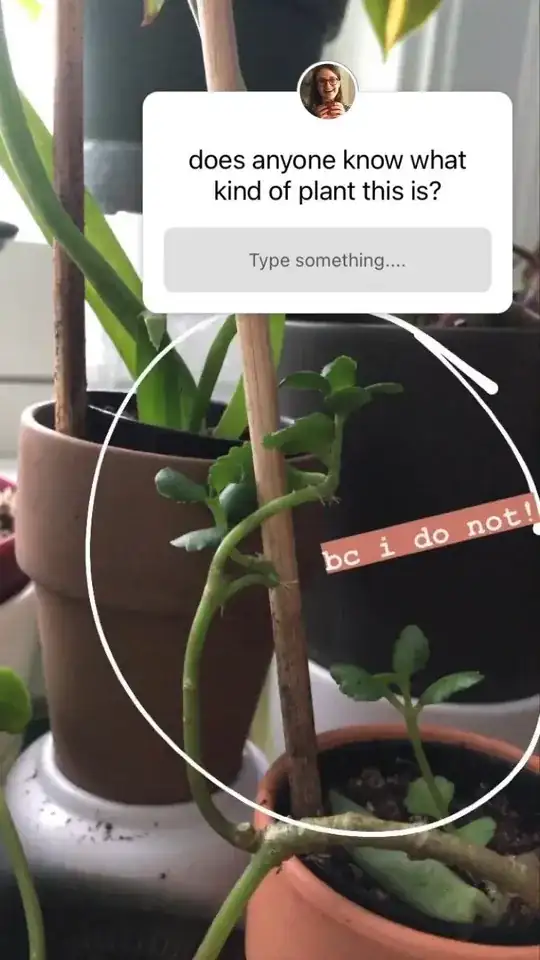 Picture of plant
