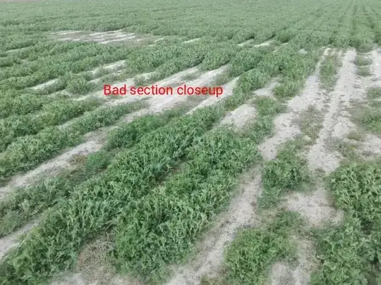 Bad section closeup