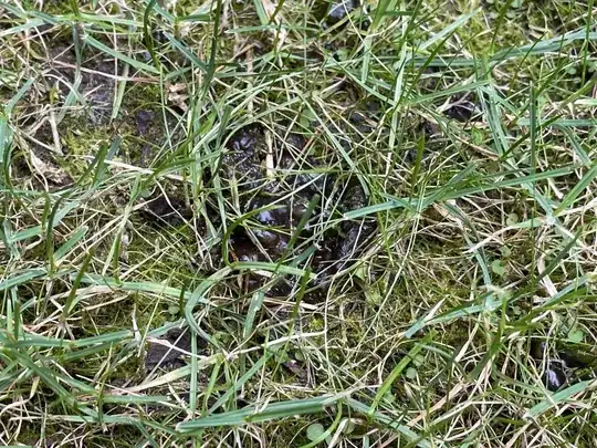 close picture 3