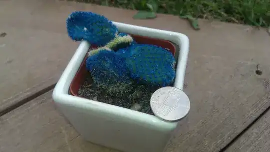 Not sure what type of cactus this is