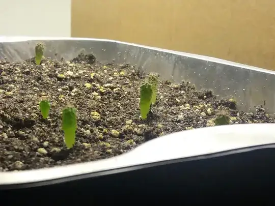 My cactus shoots