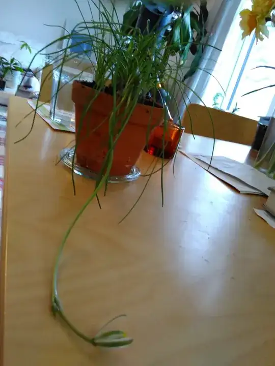 the whole plant - the flower is at the front of the image on the table