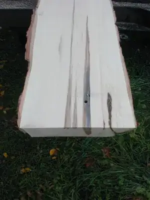 taphole in board from northernwoodlands