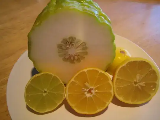 citrus medica