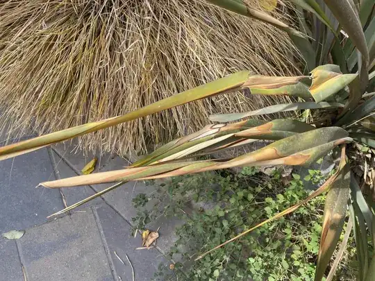 Flax leaves
