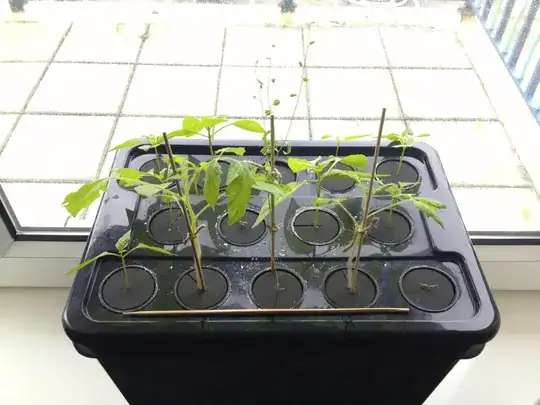 Selfmade aeroponics