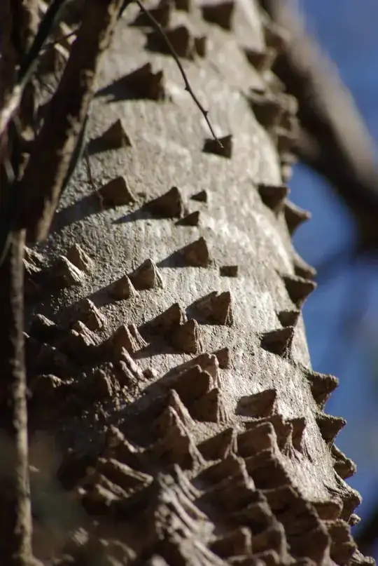 tree photo