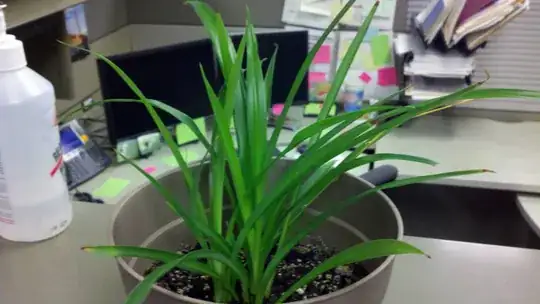Photo of plant and mold