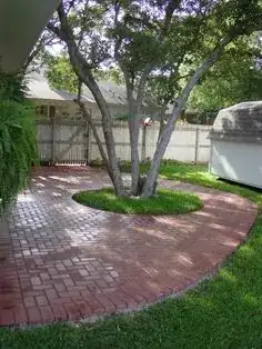 Patio planting