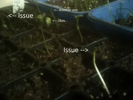 Broccoli seedligns