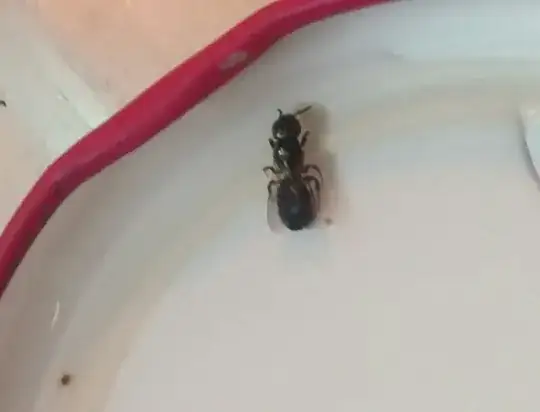 the bug