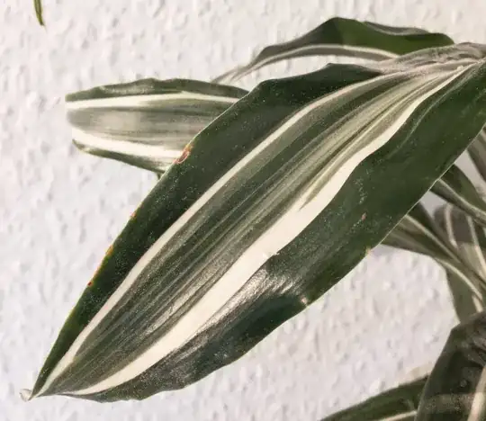 leaf