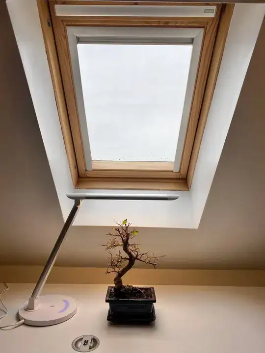 Setup