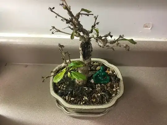 sad tree ):