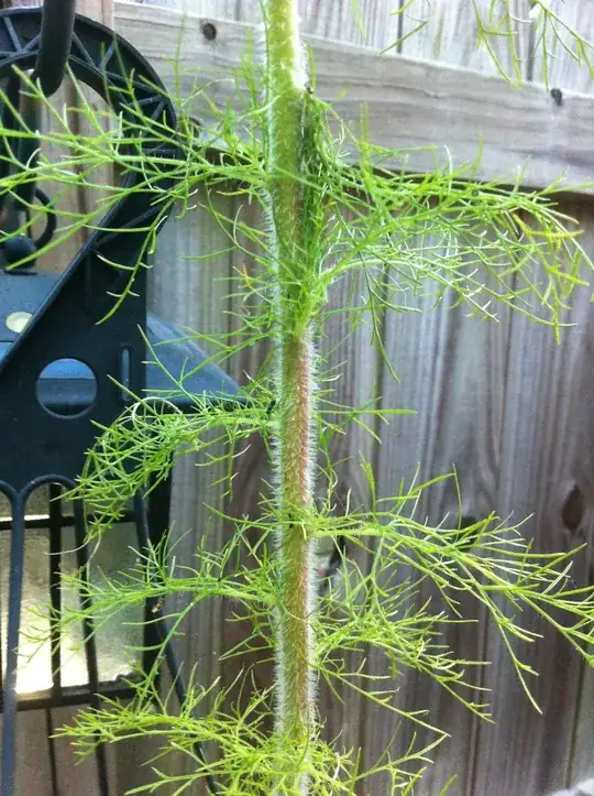 close up of stem